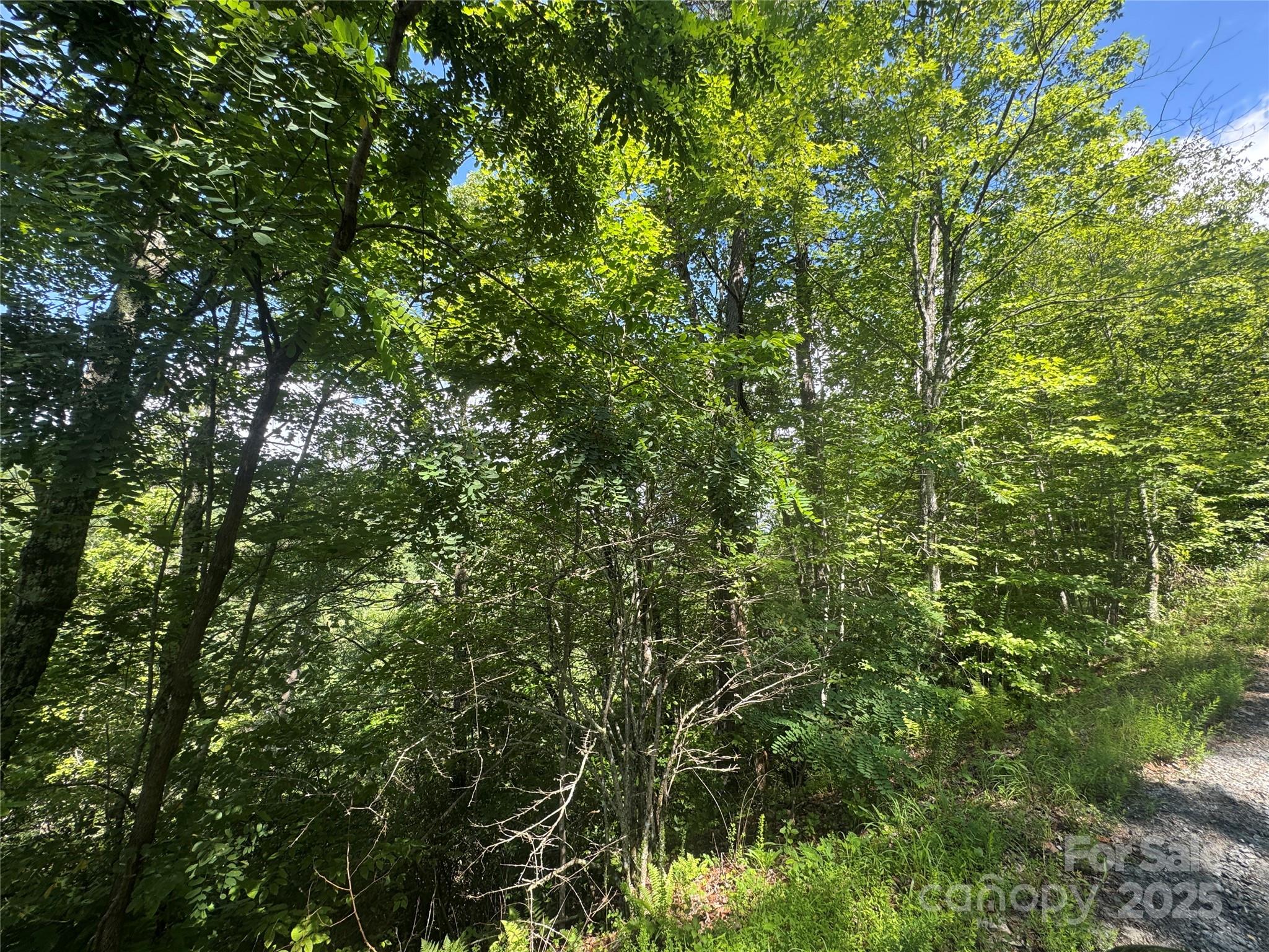 999 Ivy Lane Pisgah Forest NC 28768