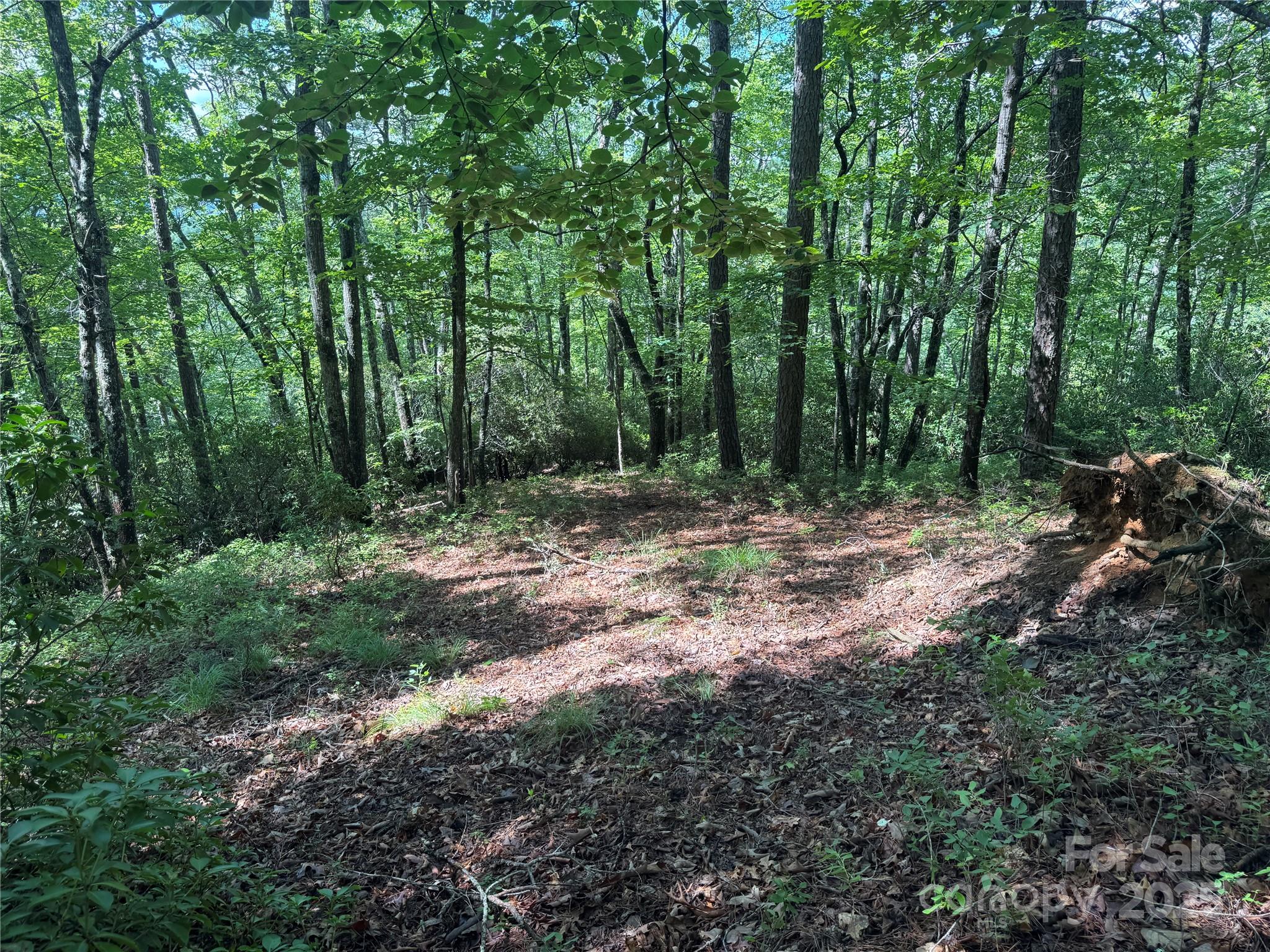 999 Ivy Lane Pisgah Forest NC 28768