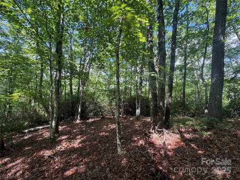 999 Ivy Lane Pisgah Forest NC 28768