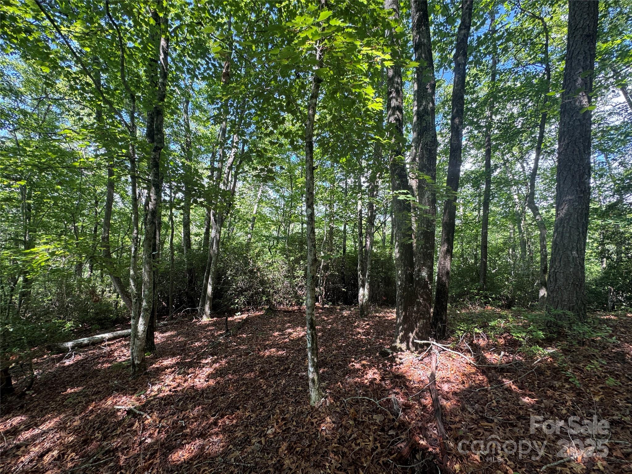999 Ivy Lane Pisgah Forest NC 28768
