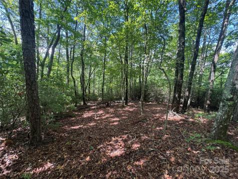 999 Ivy Lane Pisgah Forest NC 28768