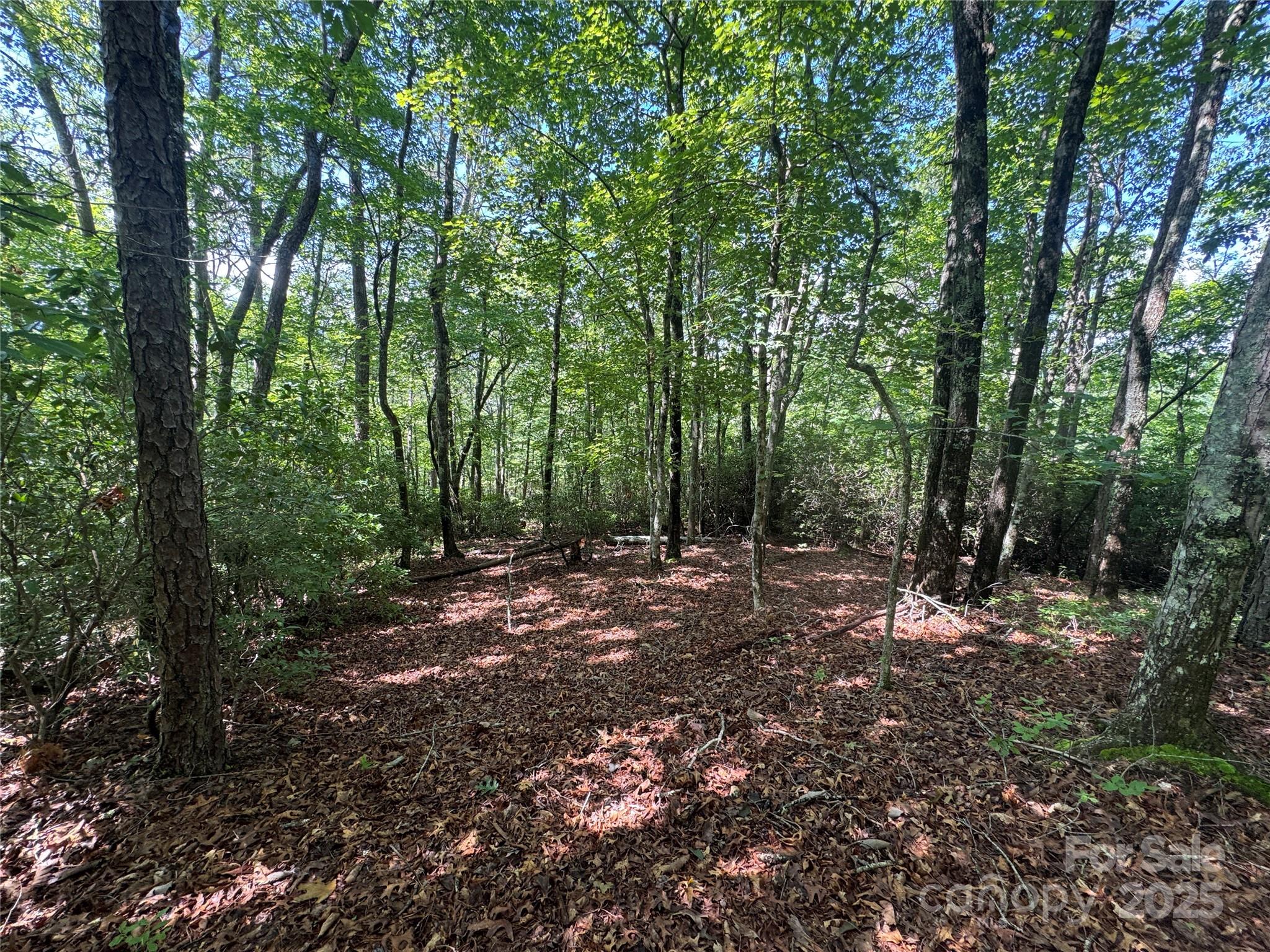 999 Ivy Lane Pisgah Forest NC 28768