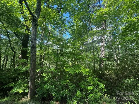 999 Ivy Lane Pisgah Forest NC 28768