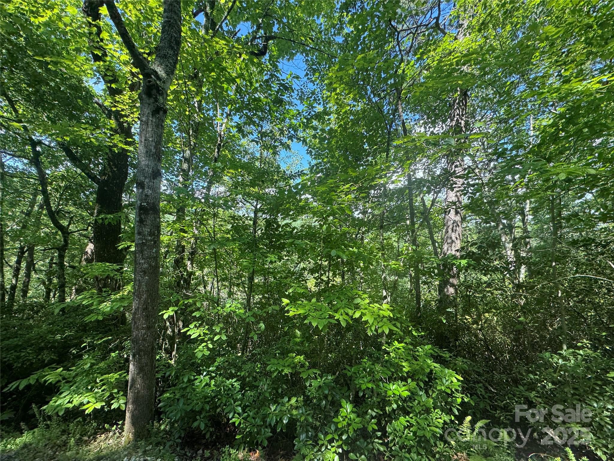 999 Ivy Lane Pisgah Forest NC 28768