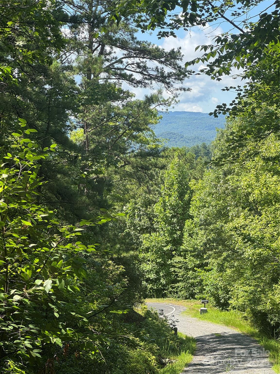 999 Ivy Lane Pisgah Forest NC 28768
