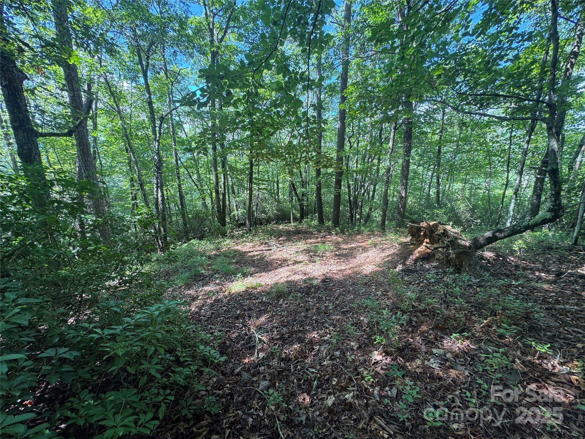 999 Ivy Lane Pisgah Forest NC 28768