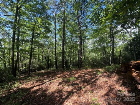 999 Ivy Lane Pisgah Forest NC 28768