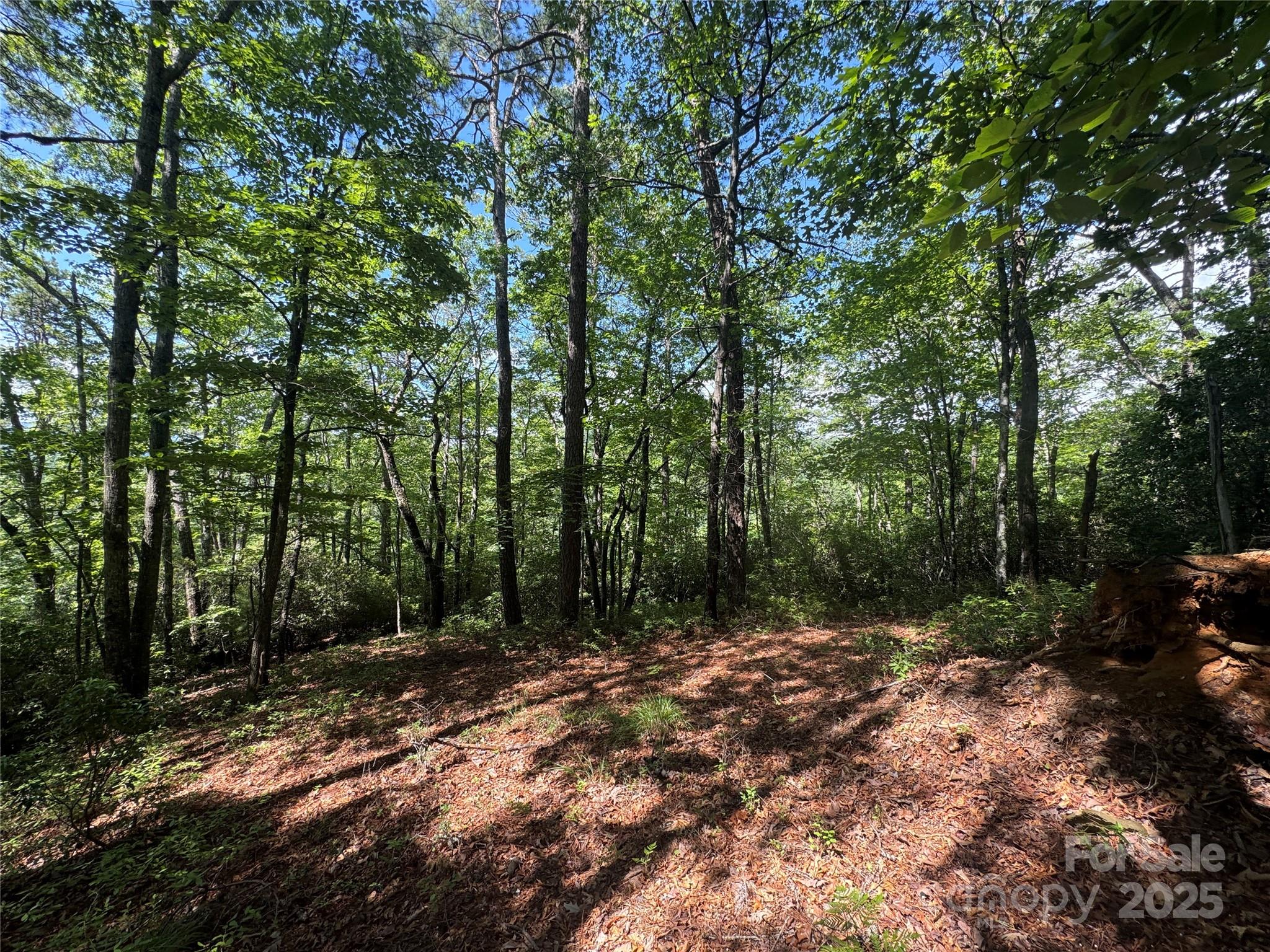 999 Ivy Lane Pisgah Forest NC 28768