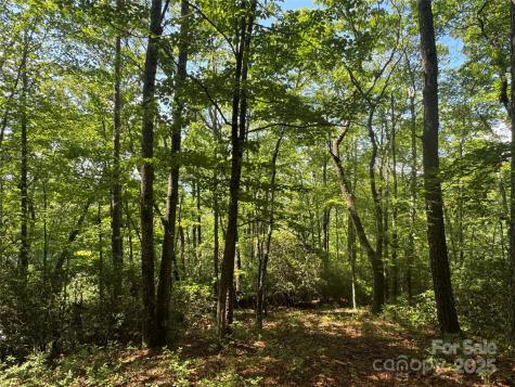 999 Ivy Lane Pisgah Forest NC 28768