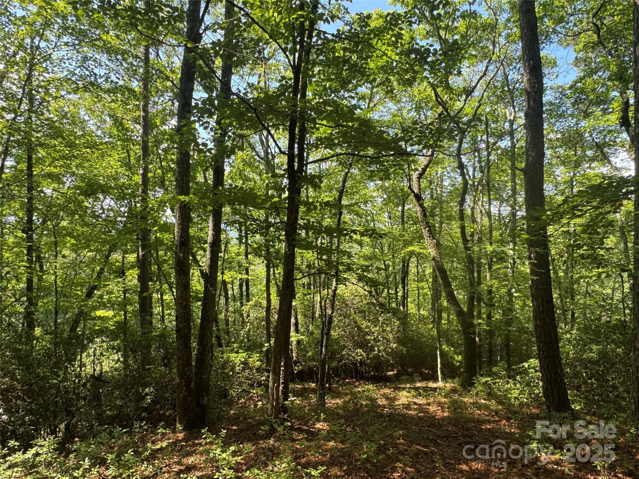 999 Ivy Lane Pisgah Forest NC 28768