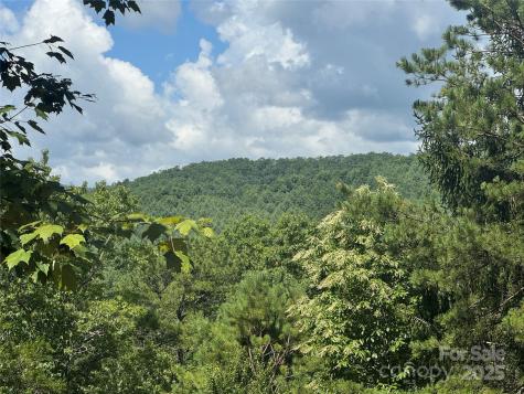 999 Ivy Lane Pisgah Forest NC 28768