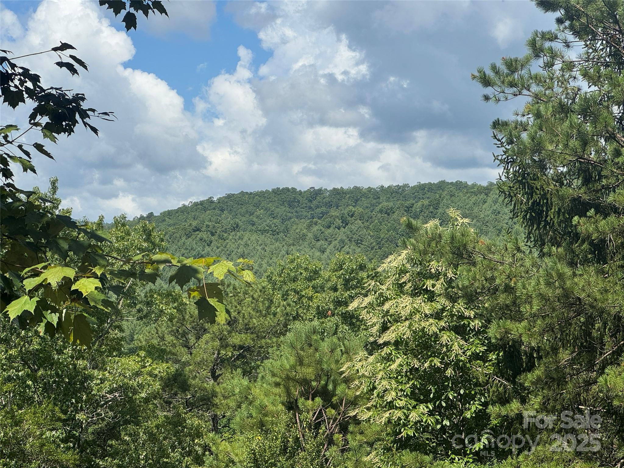 999 Ivy Lane Pisgah Forest NC 28768