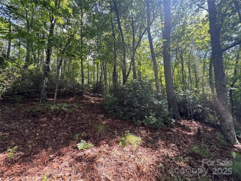 999 Ivy Lane Pisgah Forest NC 28768