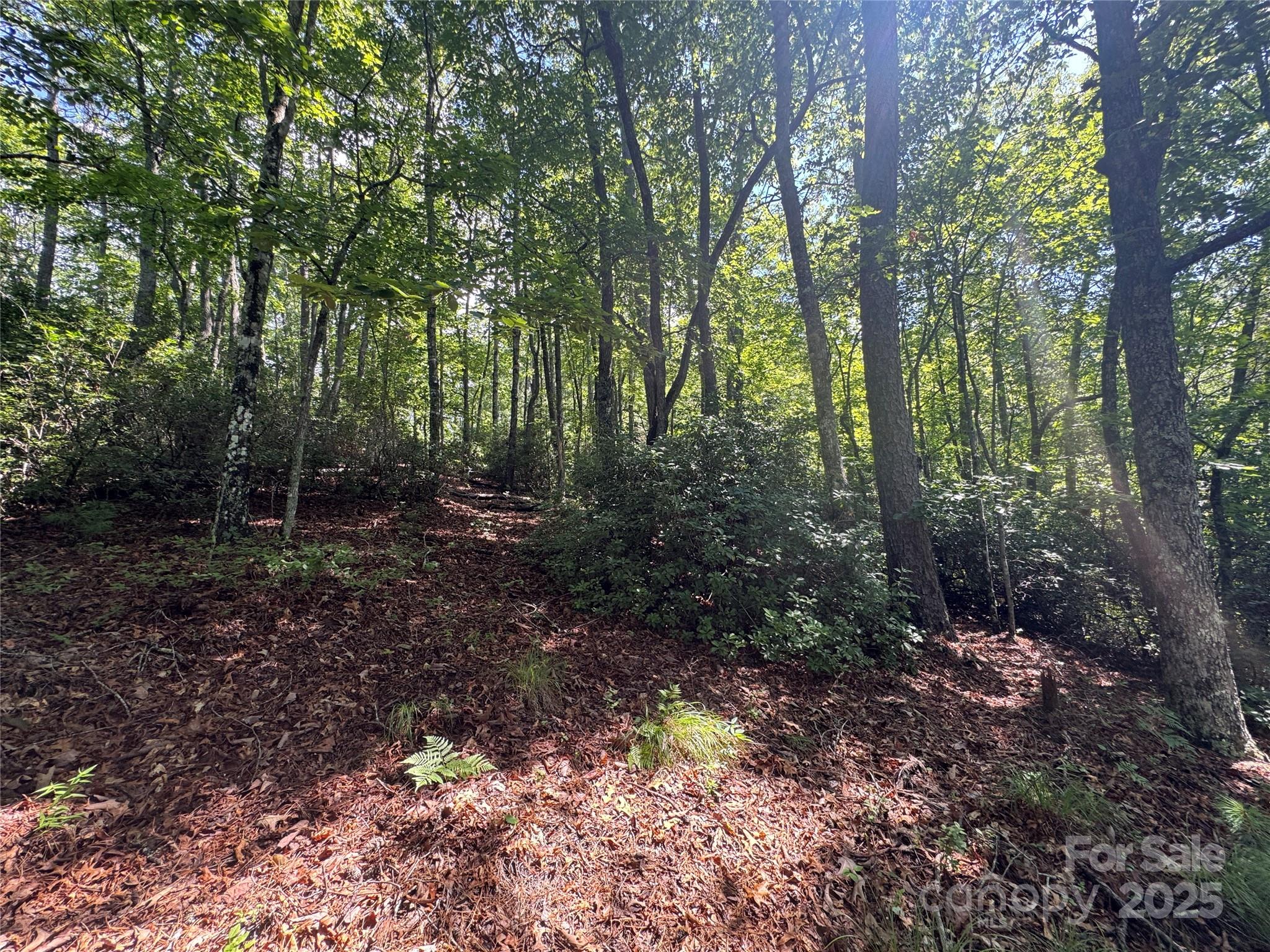 999 Ivy Lane Pisgah Forest NC 28768