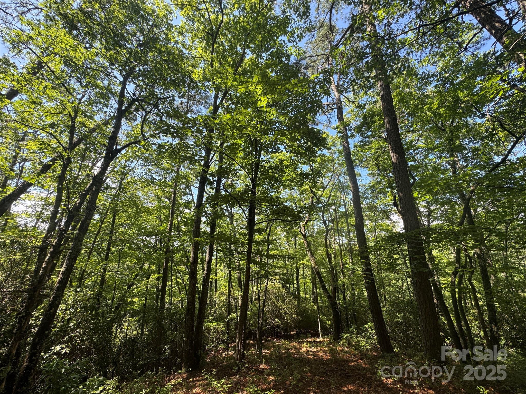 999 Ivy Lane Pisgah Forest NC 28768