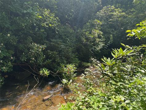 999 Ivy Lane Pisgah Forest NC 28768