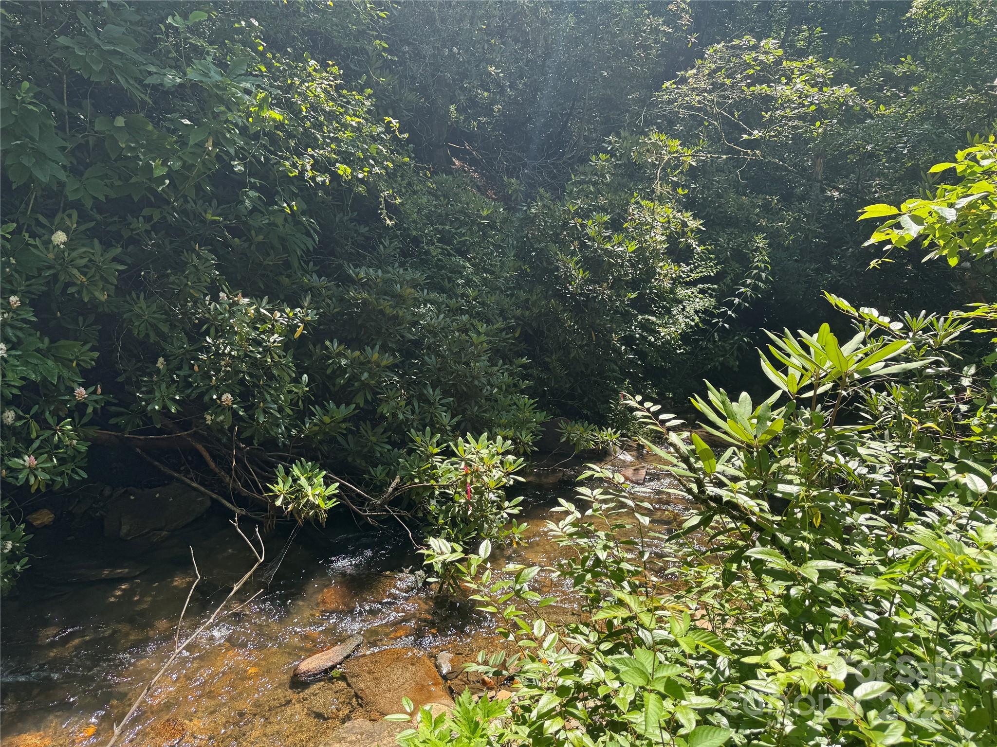 999 Ivy Lane Pisgah Forest NC 28768