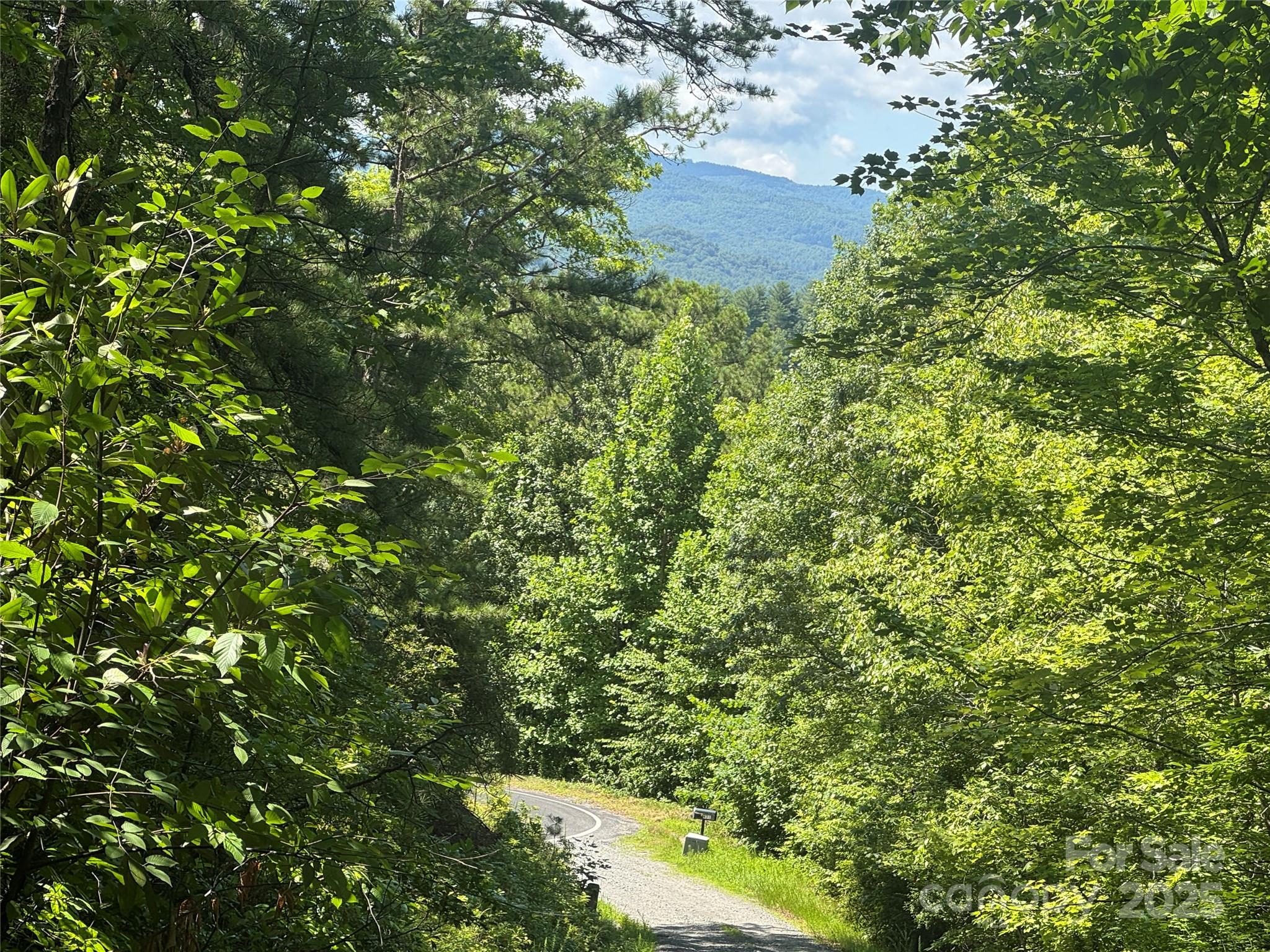 999 Ivy Lane Pisgah Forest NC 28768
