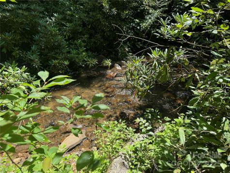 999 Ivy Lane Pisgah Forest NC 28768