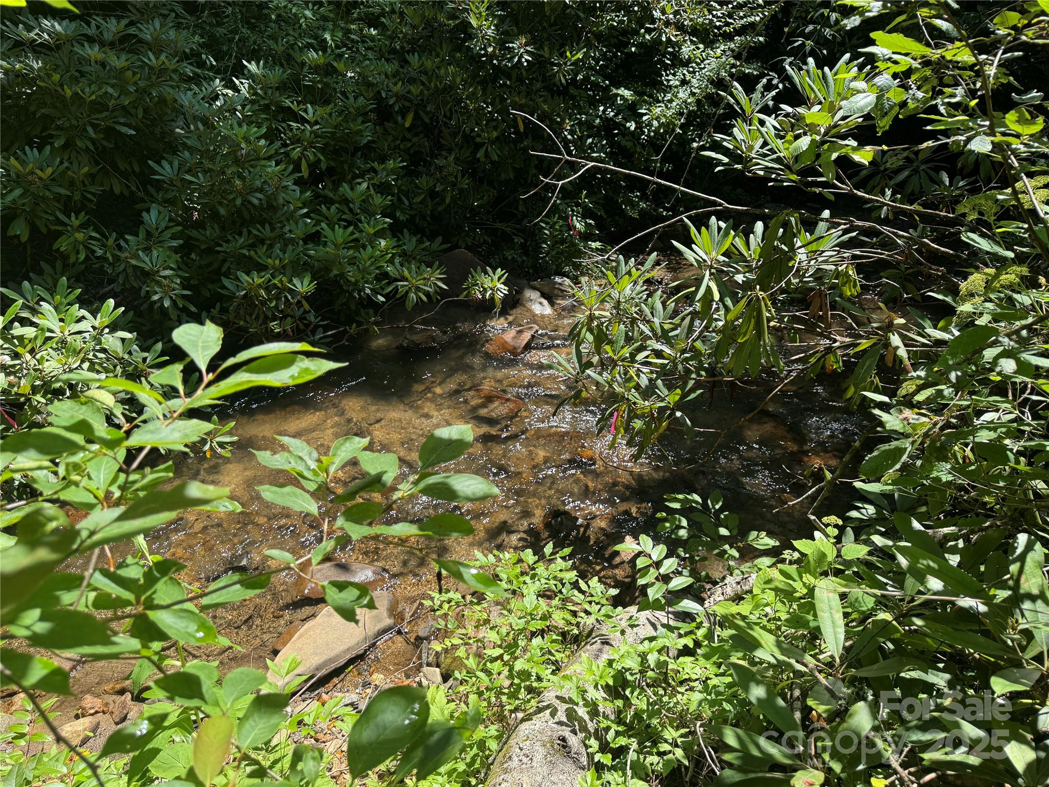 999 Ivy Lane Pisgah Forest NC 28768