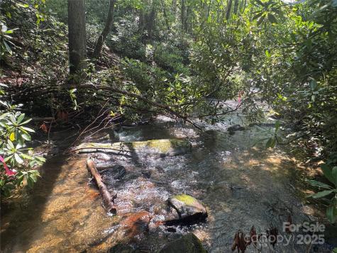 999 Ivy Lane Pisgah Forest NC 28768