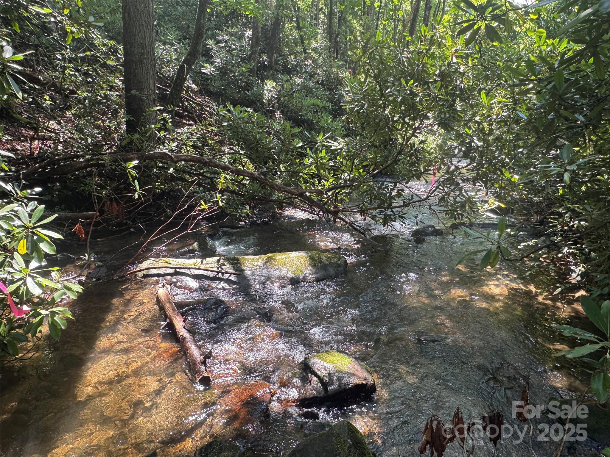999 Ivy Lane Pisgah Forest NC 28768