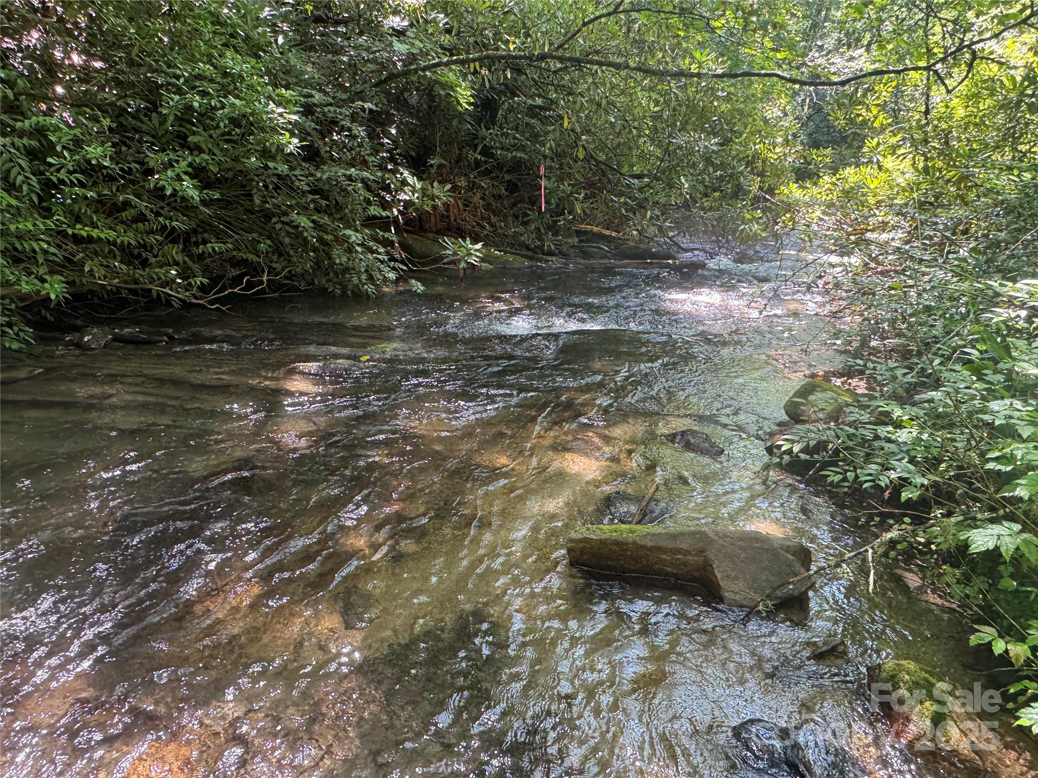 999 Ivy Lane Pisgah Forest NC 28768