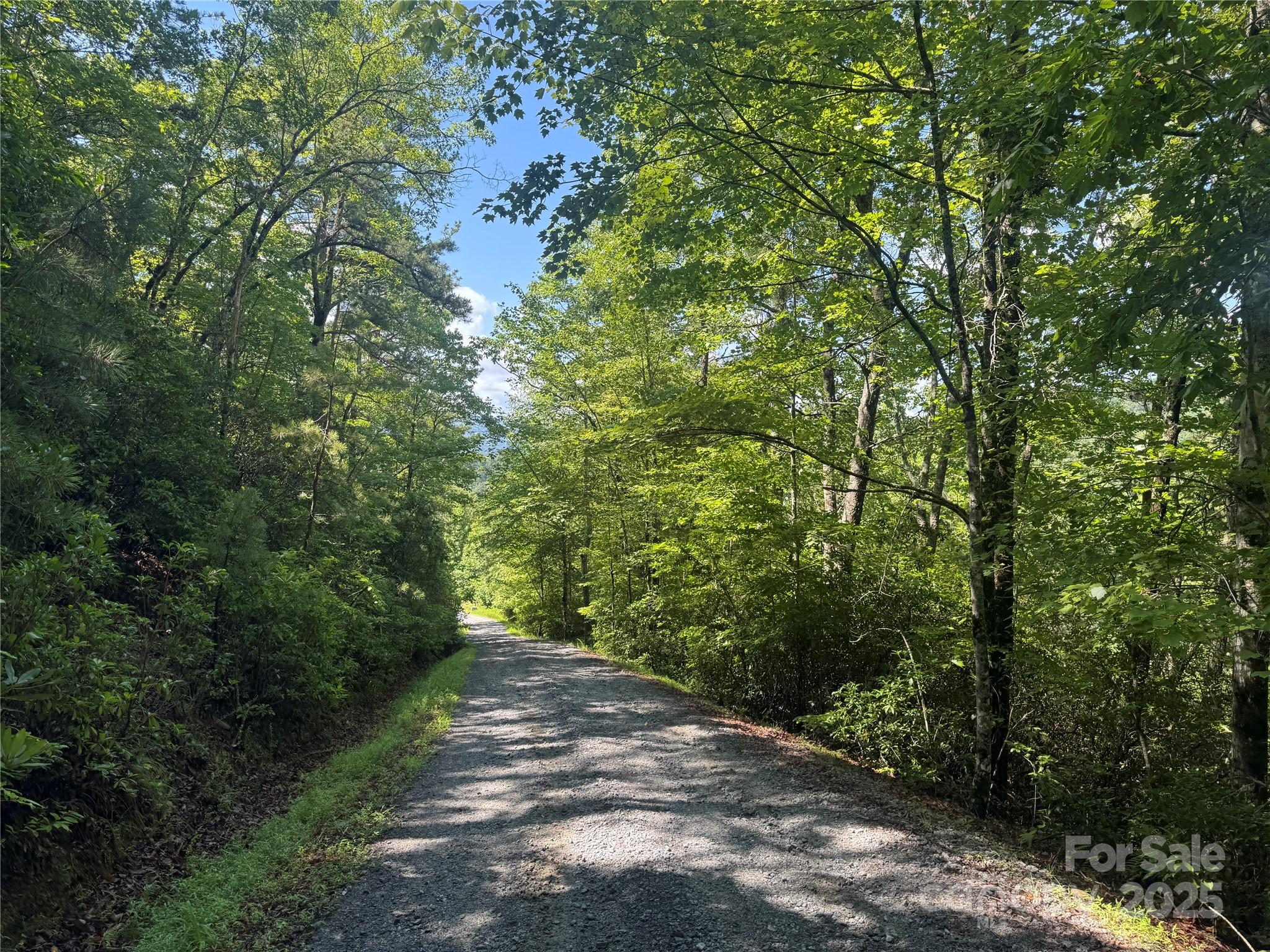 999 Ivy Lane Pisgah Forest NC 28768