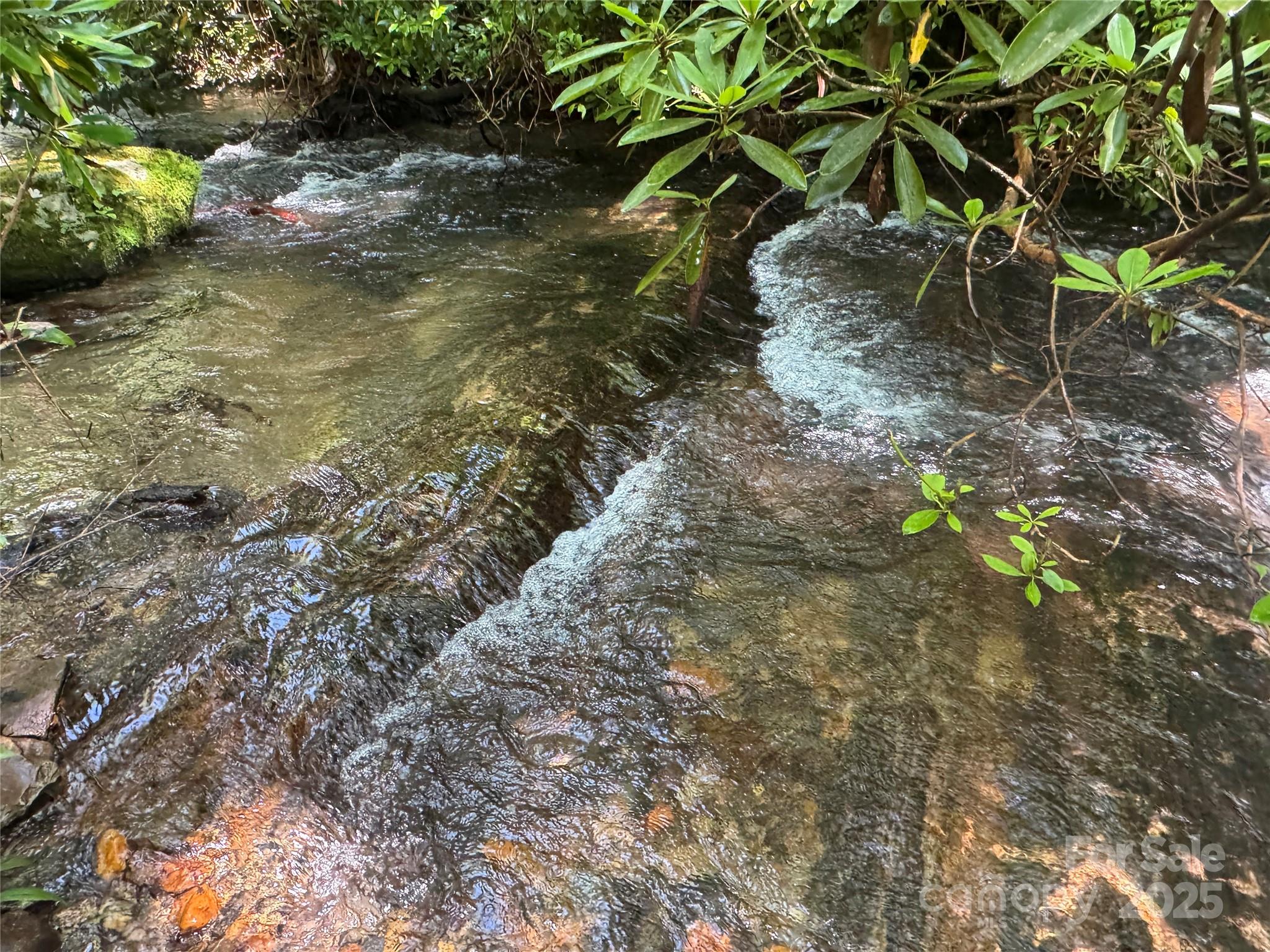 999 Ivy Lane Pisgah Forest NC 28768