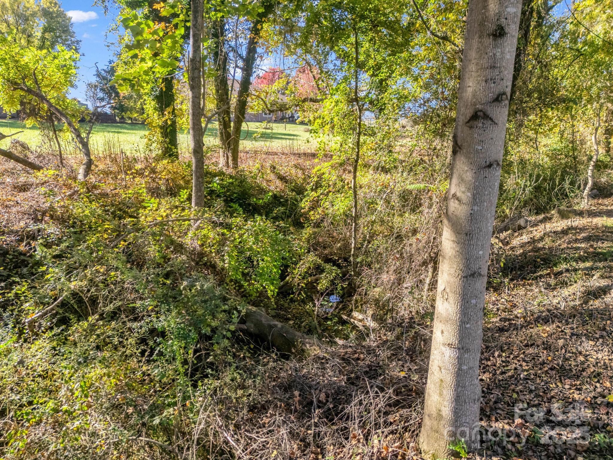 628 New Hope Road Flat Rock NC 28731