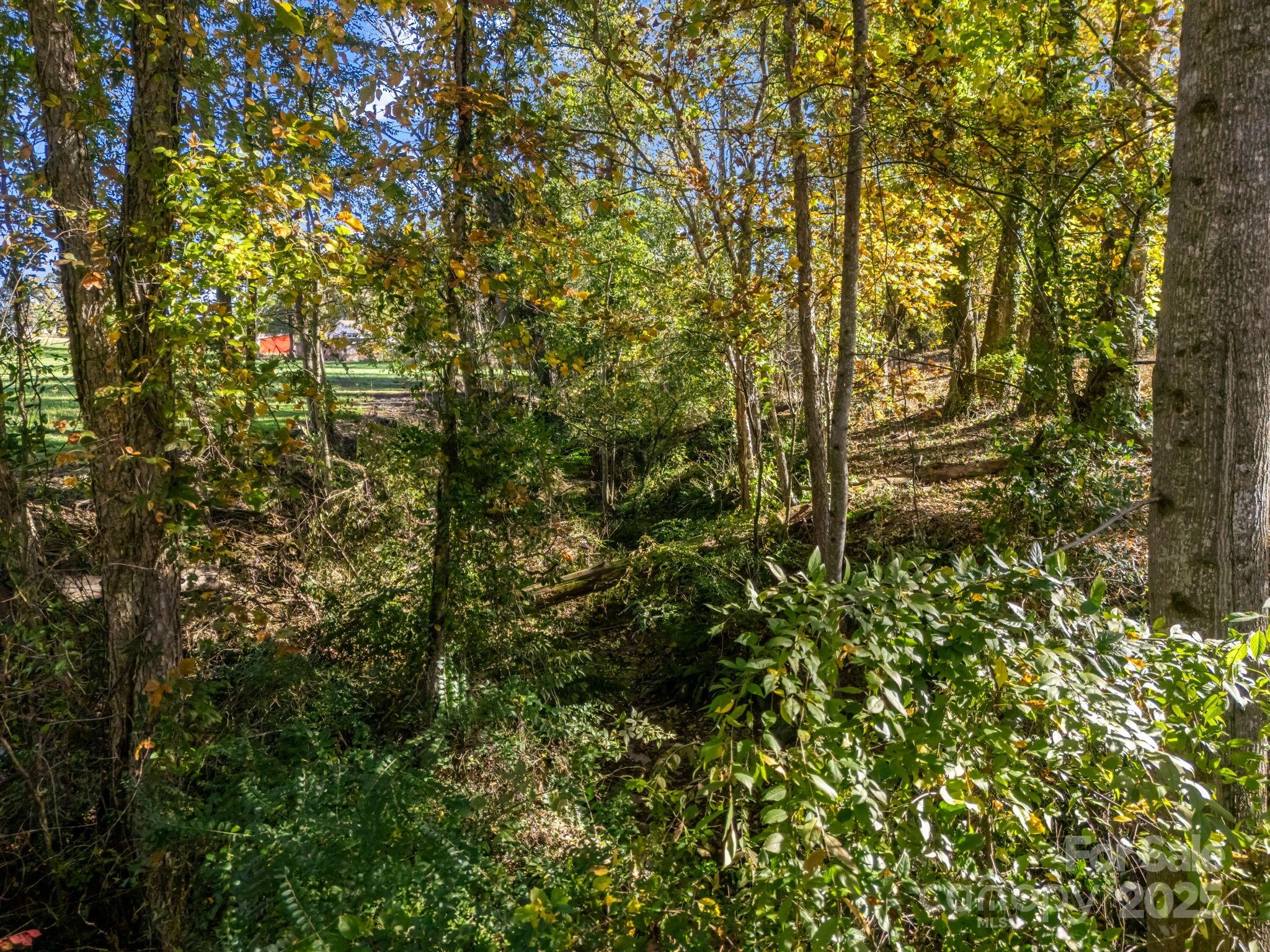 628 New Hope Road Flat Rock NC 28731