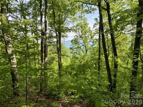 0 Carpenter Road Bryson City NC 28713
