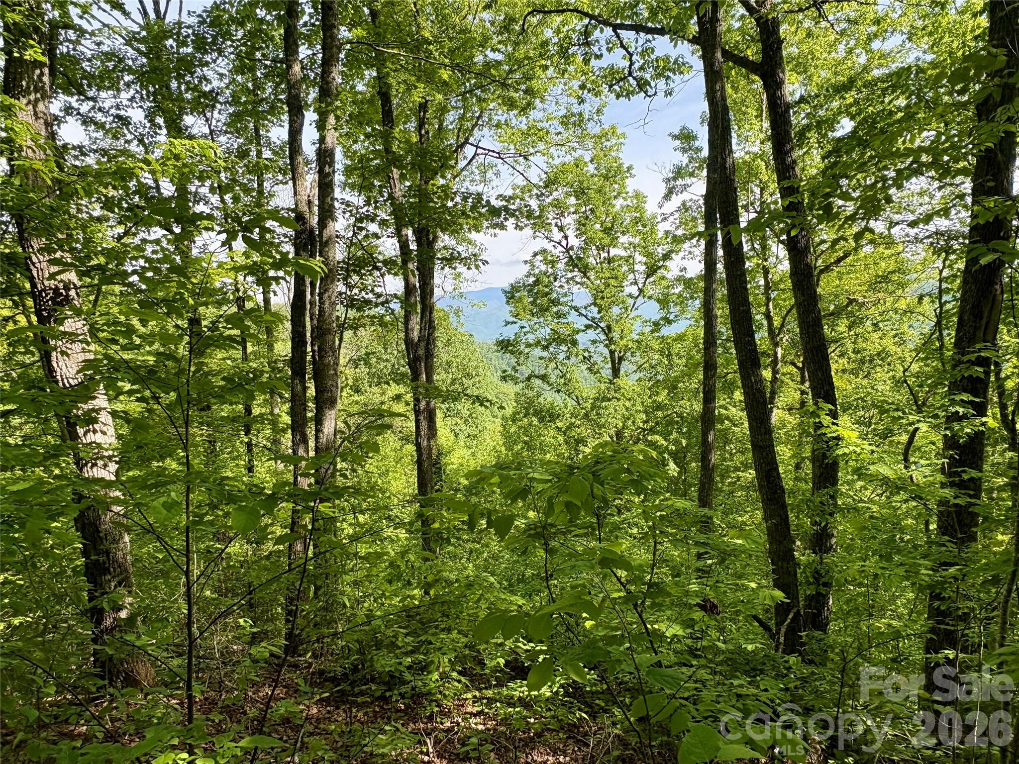 0 Carpenter Road Bryson City NC 28713