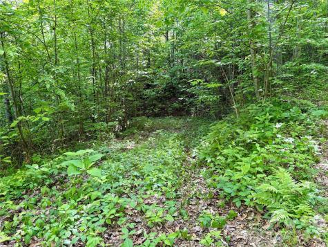 0 Carpenter Road Bryson City NC 28713