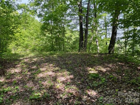 0 Carpenter Road Bryson City NC 28713