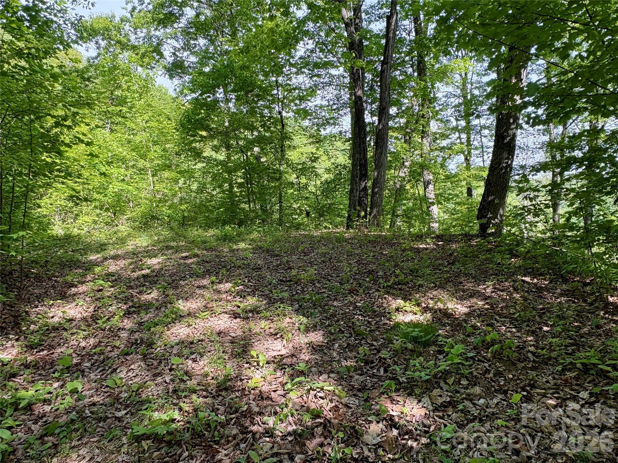0 Carpenter Road Bryson City NC 28713