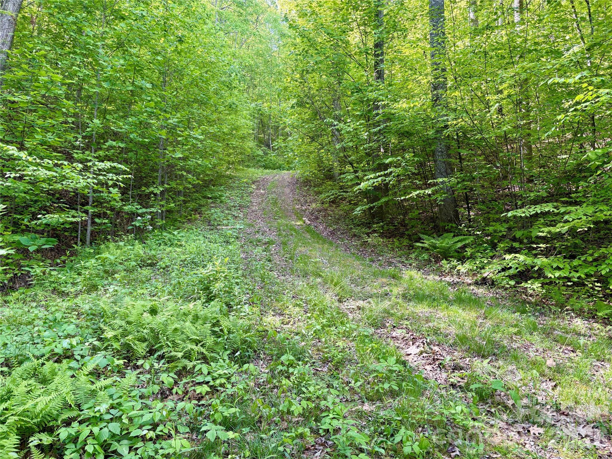 0 Carpenter Road Bryson City NC 28713
