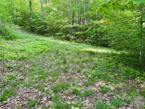 0 Carpenter Road Bryson City NC 28713