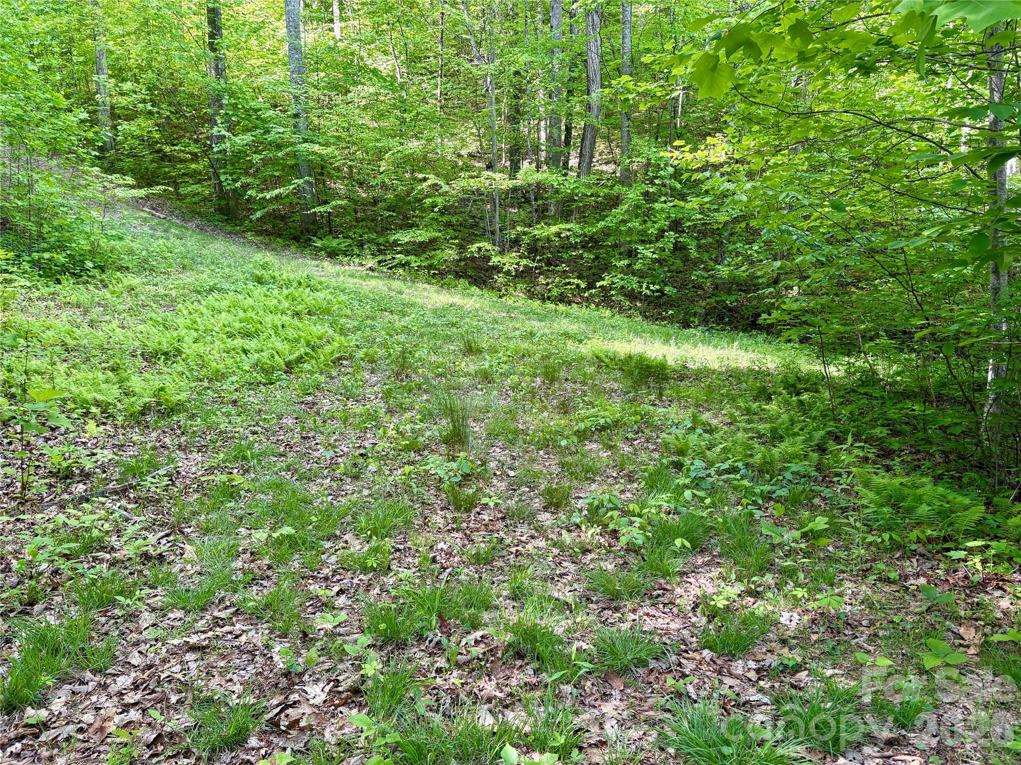 0 Carpenter Road Bryson City NC 28713