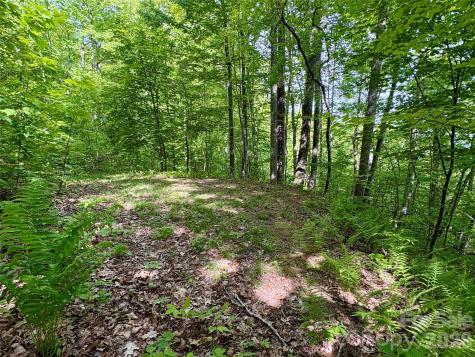 0 Carpenter Road Bryson City NC 28713