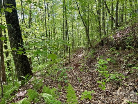 0 Carpenter Road Bryson City NC 28713