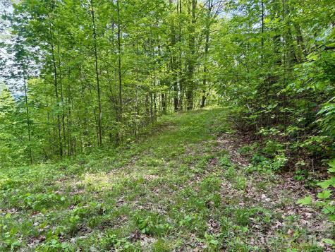 0 Carpenter Road Bryson City NC 28713
