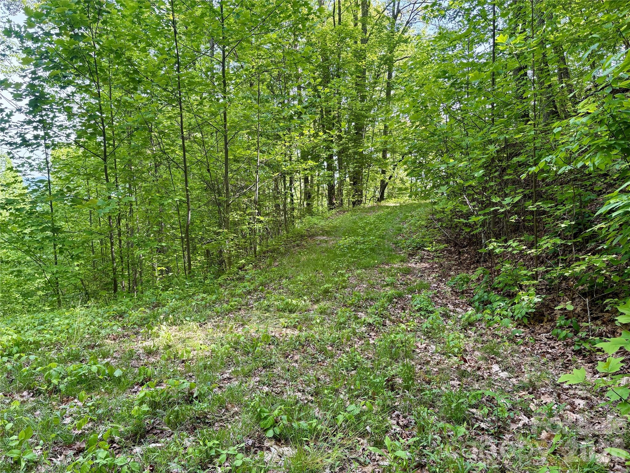 0 Carpenter Road Bryson City NC 28713