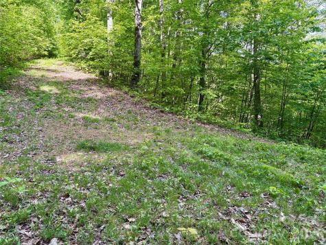 0 Carpenter Road Bryson City NC 28713
