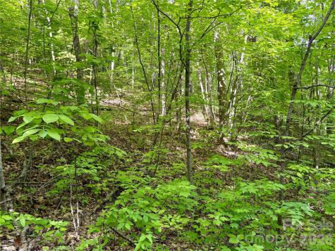 0 Carpenter Road Bryson City NC 28713