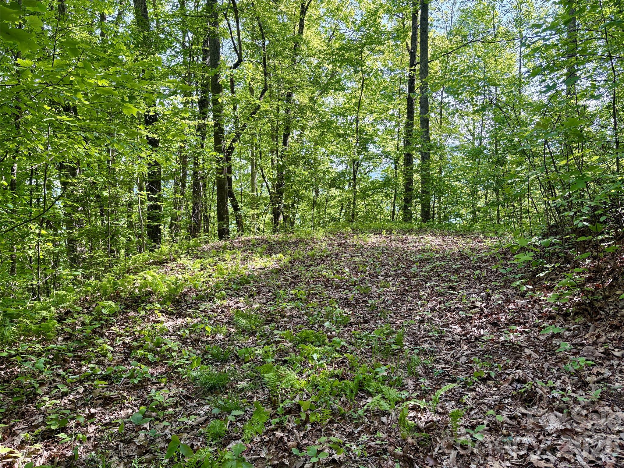0 Carpenter Road Bryson City NC 28713