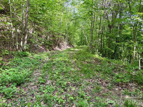 0 Carpenter Road Bryson City NC 28713