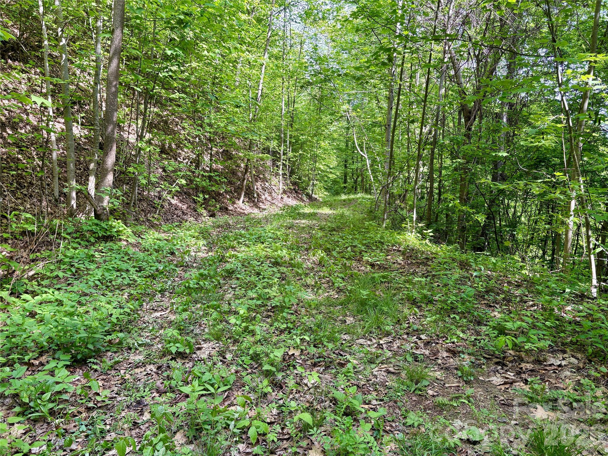 0 Carpenter Road Bryson City NC 28713