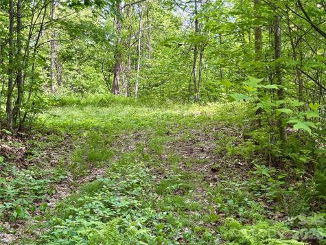 0 Carpenter Road Bryson City NC 28713