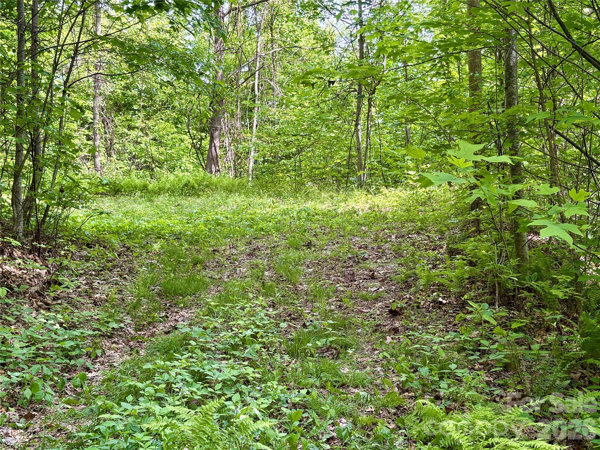 0 Carpenter Road Bryson City NC 28713